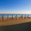Faruk Exhibition - Shanklin PromA.jpg