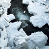 Icelandic StreaWendymA.jpg