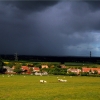 Landscape Jo WilesA.jpg