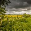 N_Bedford_Storm Coming.jpg