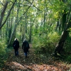 Reg-walk in the woods 287.jpg