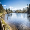 Stephen Lake SPRING ON THE RIVER TAY SCOTLAND.jpg