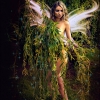 stephen_salmon-fairy.jpg